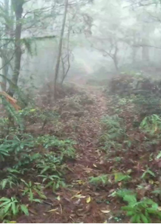 【0325】你守護深山水電站，蘇寧物流守護你的心愿必達1150.png