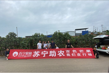 【0708】原產(chǎn)地直采！天天快遞助力百色芒果飛入萬家果籃615.png